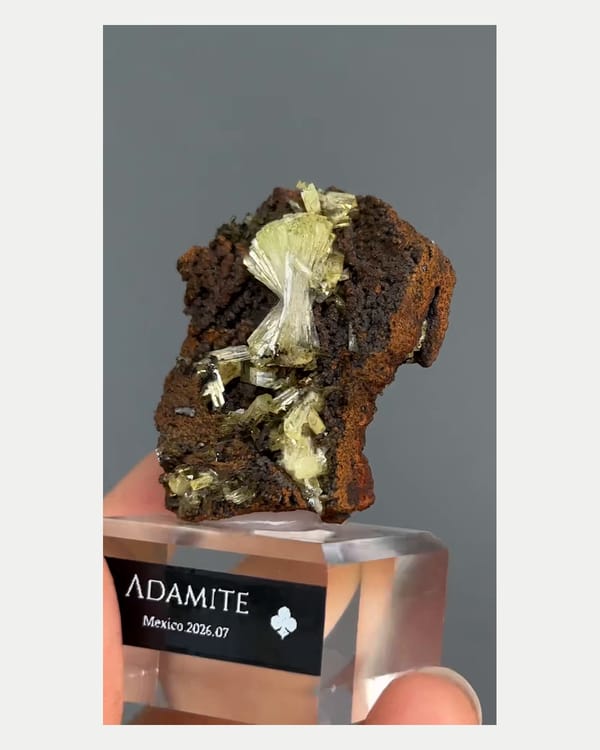 Complete left oblique view of pale yellow adamite on brown matrix