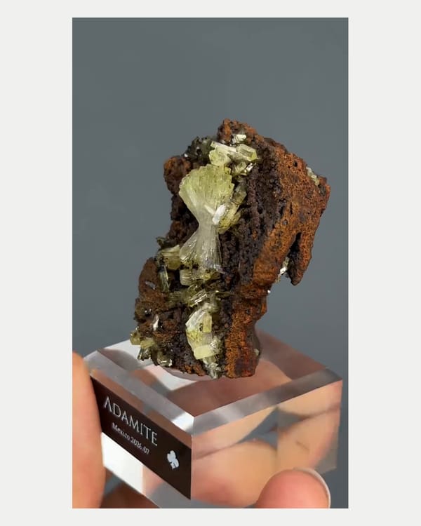 Complete reverse view of pale yellow adamite on brown matrix