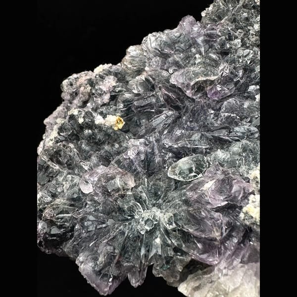 Pale amethyst flower rosettes on grey matrix from Brazil — detail view
