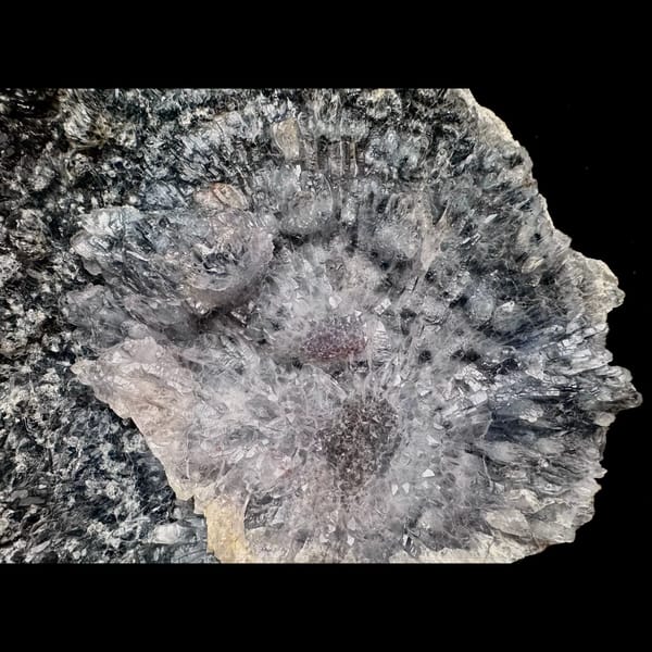 Pale amethyst flower rosettes on grey matrix from Brazil — detail view