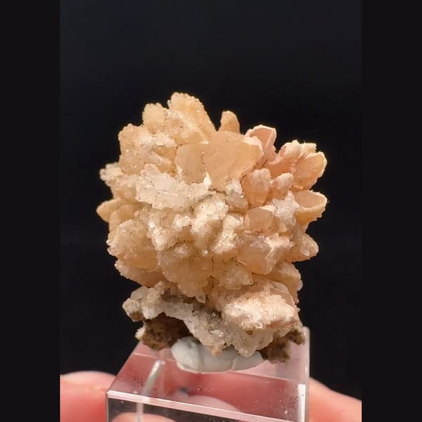 Orange-pink sugar-coated quartz flower from Namibia — complete view