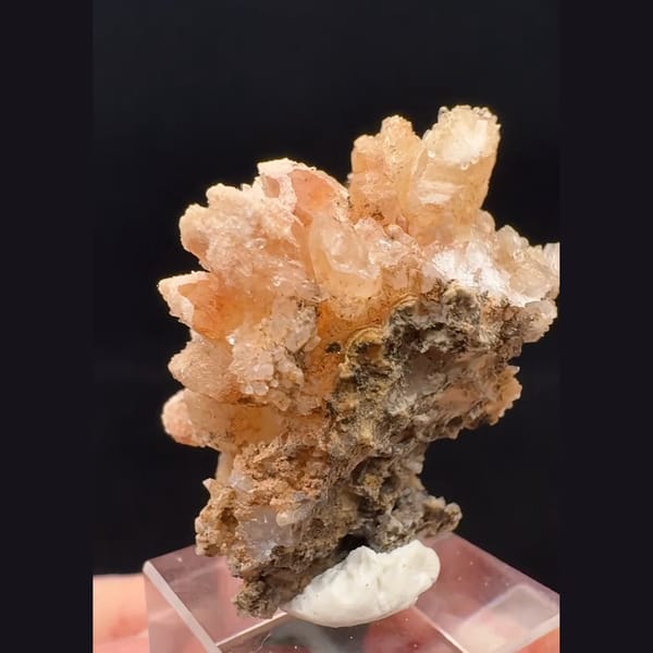 Orange-pink sugar-coated quartz flower from Namibia — alternate view