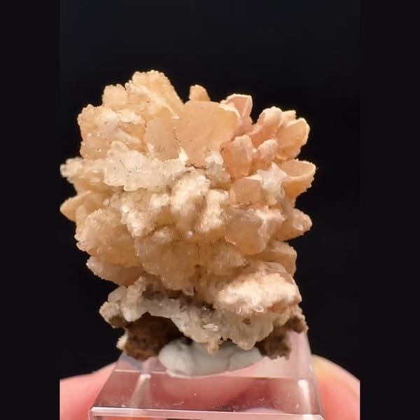Orange-pink sugar-coated quartz flower from Namibia — detail view