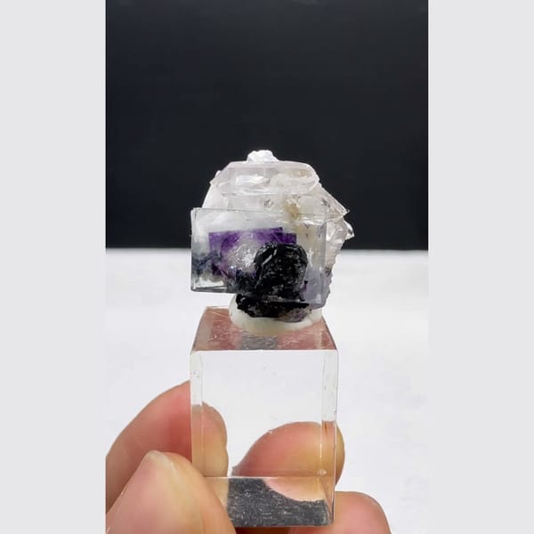 Phantom Fluorite with Wolframite Yaogangxian 1.7 cm — complete view