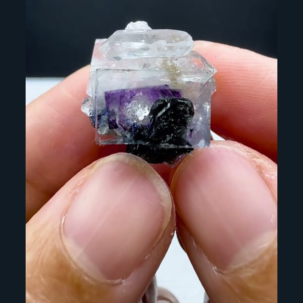 Phantom Fluorite with Wolframite Yaogangxian 1.7 cm — detail view