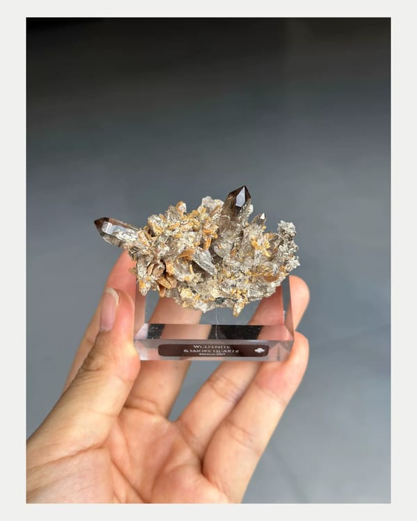 Complete raised oblique view of Mexican wulfenite and smoky quartz
