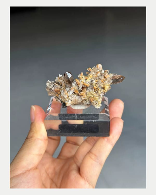 Complete reverse view of smoky quartz points and orange wulfenite