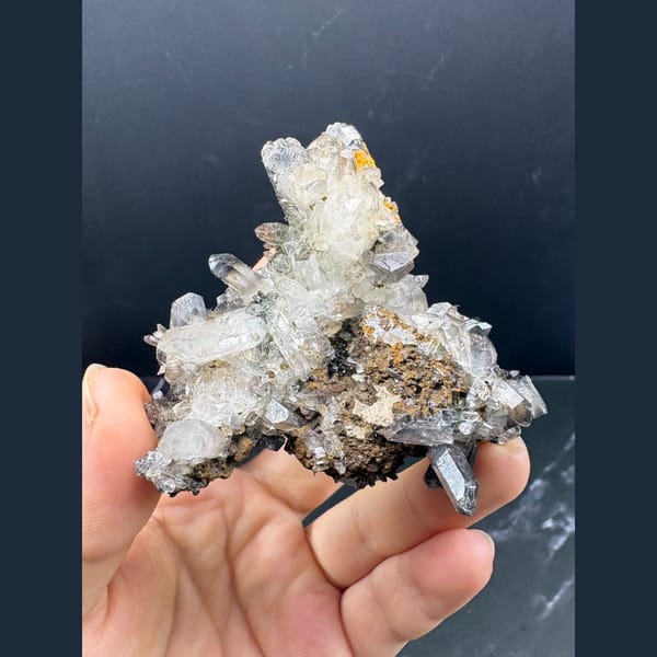Pale smoky quartz crystal cluster with dark epidote — complete view