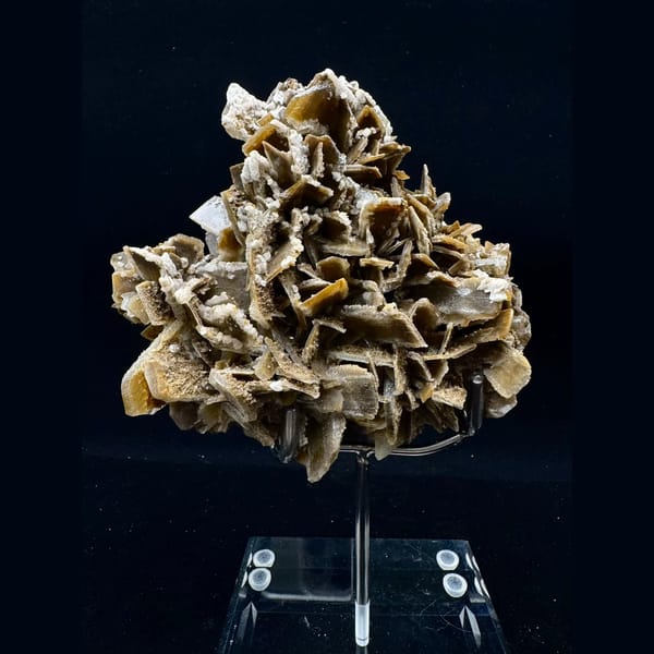 Golden bladed barite rosette with white dolomite from Sanmenxia, Henan — complete view