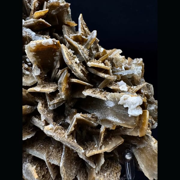 Golden bladed barite rosette with white dolomite from Sanmenxia, Henan — detail view