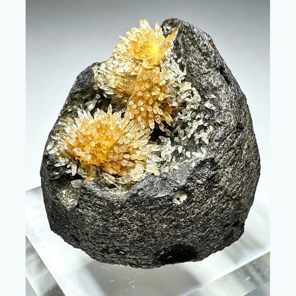 Amber Calcite Geode Vietnam 3.0 cm — alternate view