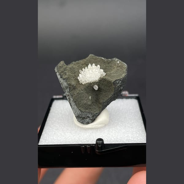 Flower-form calcite from Vietnam — complete view