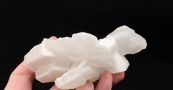 Complete inclined side showing the broad stacked white calcite blades