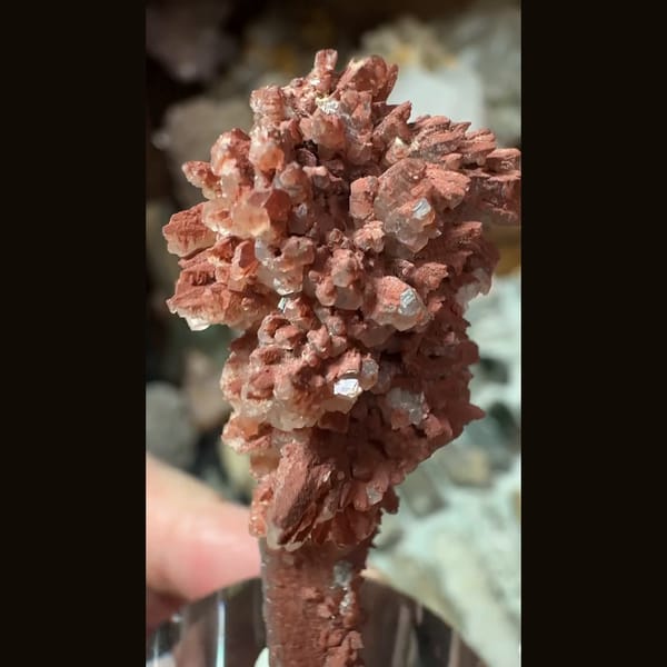 Quartz crystal crowned by red-to-white calcite sprays from Inner Mongolia — complete view
