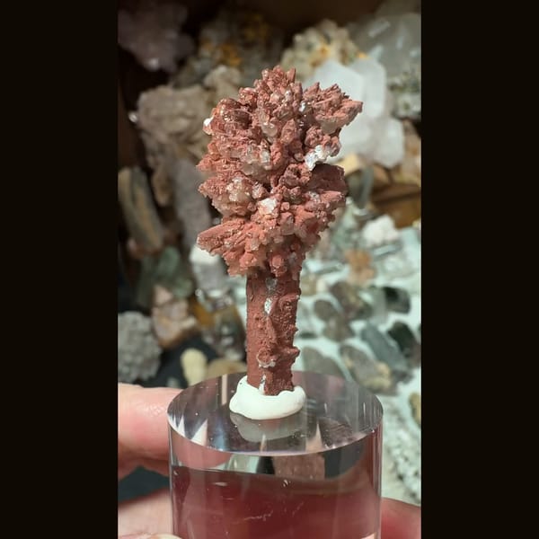 Quartz crystal crowned by red-to-white calcite sprays from Inner Mongolia — alternate view