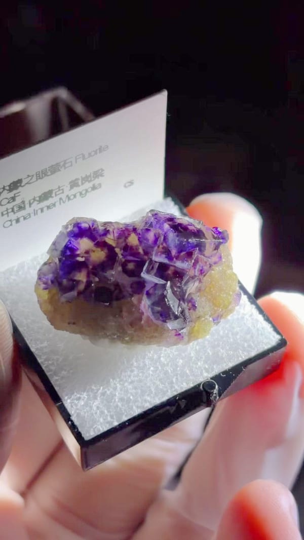 Purple Eye Fluorite with Concentric Color Zoning — Huanggangliang, Inner Mongolia, China, natural mineral specimen, photo 1 of 3