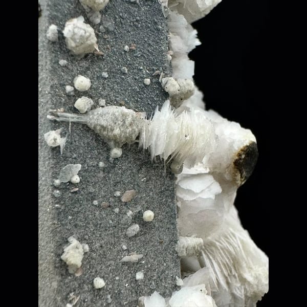 Small blue-grey coated quartz with white petal calcite from Inner Mongolia — alternate view