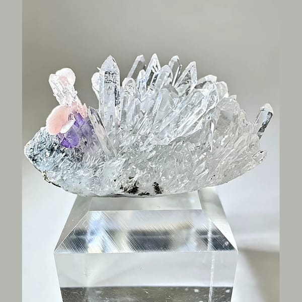 Rhodochrosite with Violet Apatite and Quartz 3.0 cm — complete view