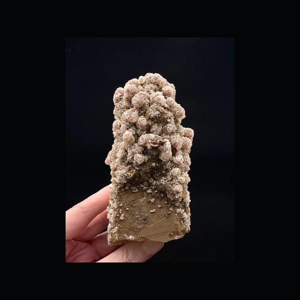 Dark Pink Calcite on Quartz — Inner Mongolia — front profile with dark-pink calcite rosettes