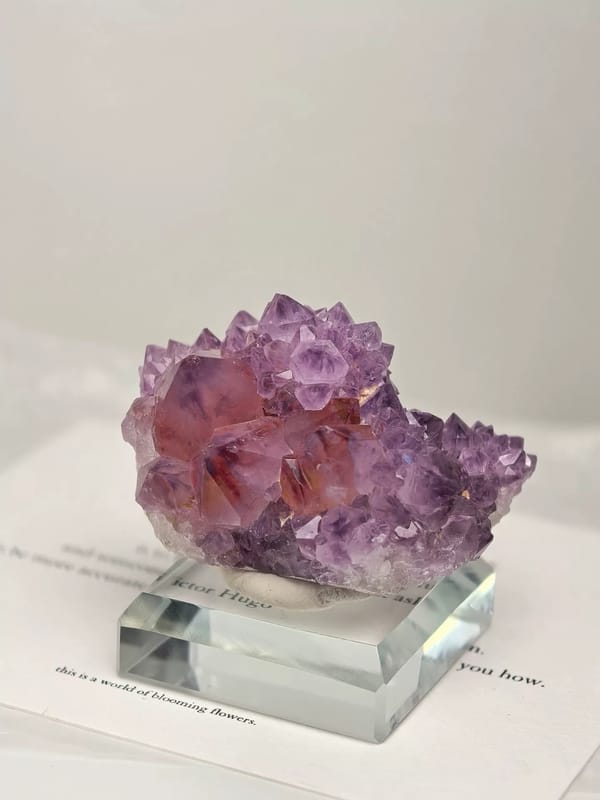 Purple Cactus Quartz Garden Cluster — South Africa — individual mineral specimen view 1