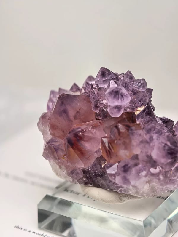 Purple Cactus Quartz Garden Cluster — South Africa — individual mineral specimen view 2