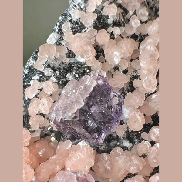 Rhodochrosite with Purple Fluorite 5.0 cm — detail view