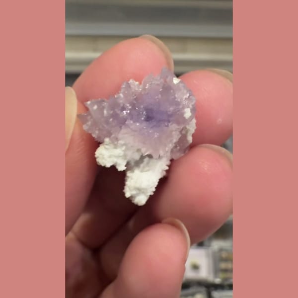 Purple Creedite Flower 2.0 cm — complete view