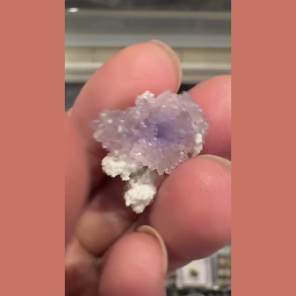 Purple Creedite Flower 2.0 cm — alternate view