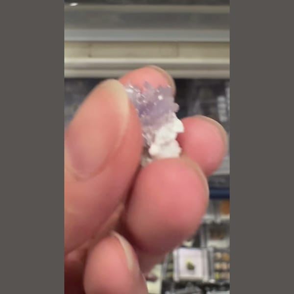 Purple Creedite Flower 2.0 cm — alternate view