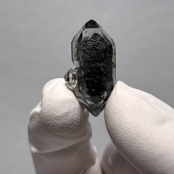Tip-chip sugar-core DT Yunnan B — complete view