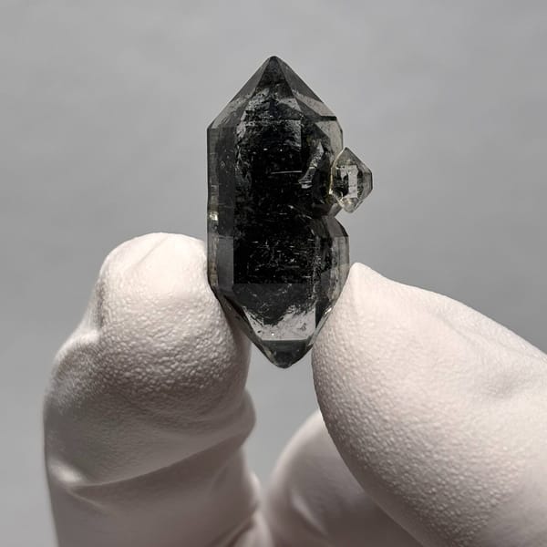 Tip-chip sugar-core DT Yunnan B — alternate view