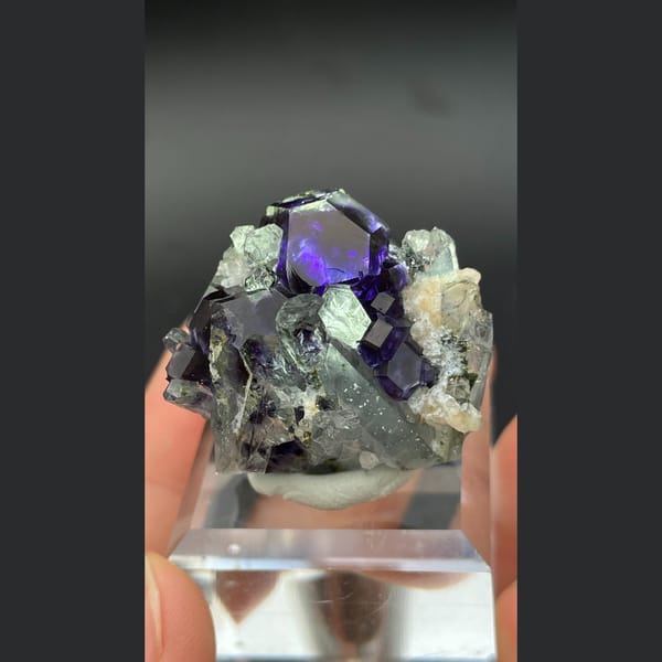 Glassy purple fluorite with quartz from Shizhuyuan, Hunan — complete view