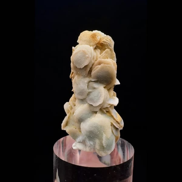 Milky quartz crystal wrapped in yellow petal calcite from Inner Mongolia — complete view
