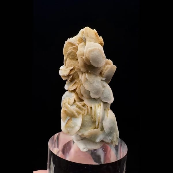 Milky quartz crystal wrapped in yellow petal calcite from Inner Mongolia — alternate view