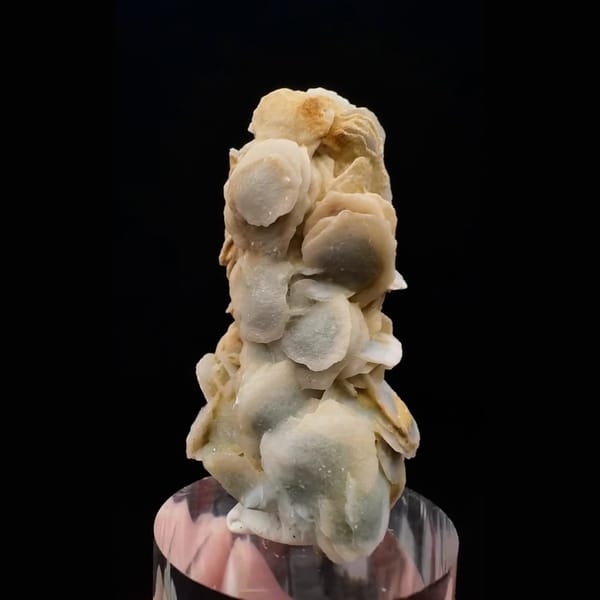 Milky quartz crystal wrapped in yellow petal calcite from Inner Mongolia — detail view