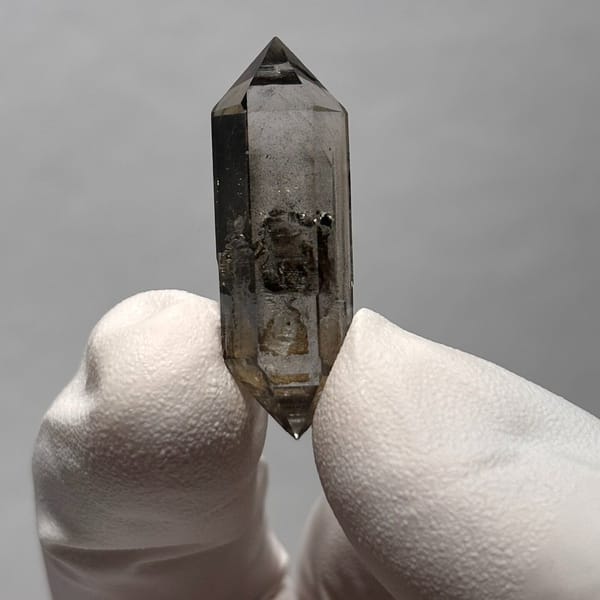 Tip-chip DT Yunnan H — alternate view