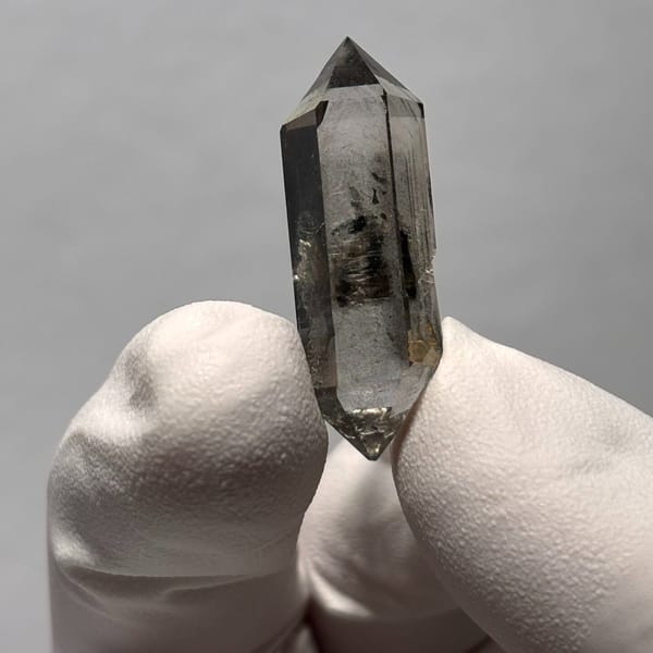 Tip-chip DT Yunnan H — alternate view