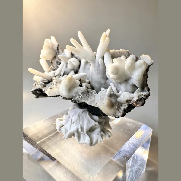 White Aragonite Antler Cluster 4.0 cm — alternate view