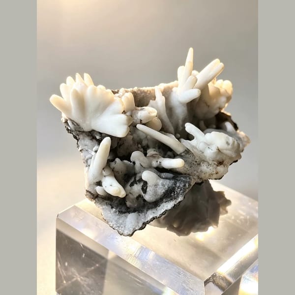 White Aragonite Antler Cluster 4.0 cm — detail view