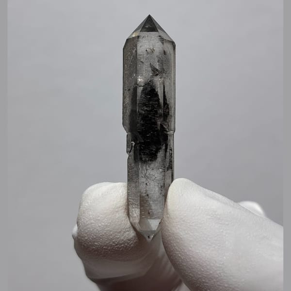 Complete sugar-core DT Yunnan F — complete view