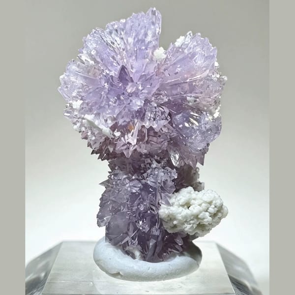 Small Purple Creedite Flower 1.0 cm — complete view
