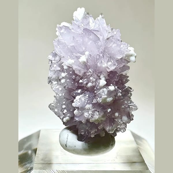 Small Purple Creedite Flower 1.0 cm — alternate view