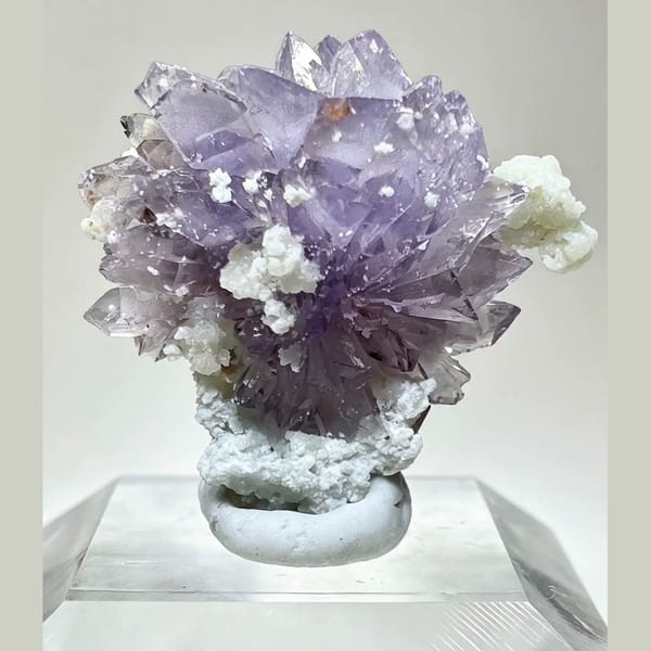 Small Purple Creedite Flower 1.0 cm — alternate view