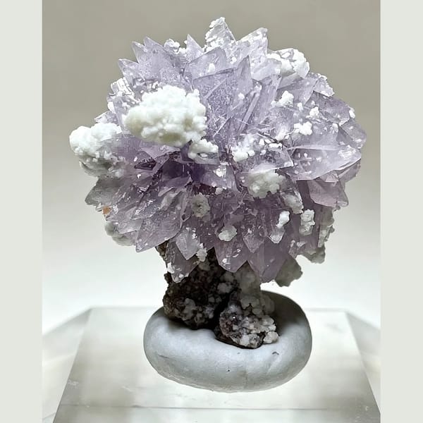 Small Purple Creedite Flower 1.0 cm — detail view
