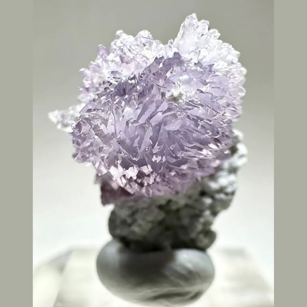 Small Purple Creedite Flower 1.0 cm — detail view