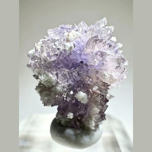 Small Purple Creedite Flower 1.0 cm — detail view