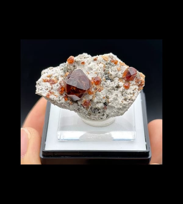 Complete front of red-brown spessartine garnet on pale matrix from Tongbei, Fujian