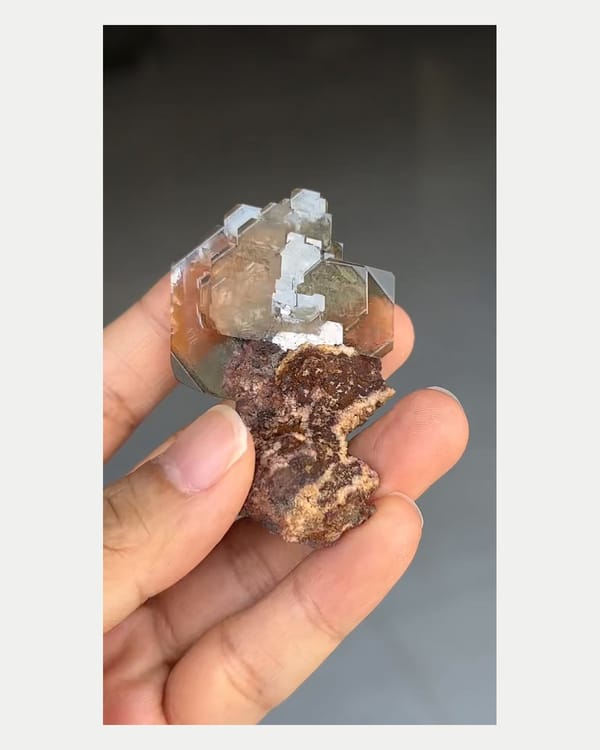Complete left oblique view of tea-brown baryte crystal