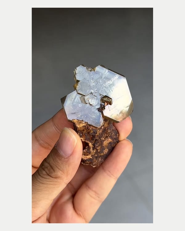 Complete reverse view of tea-brown baryte crystal