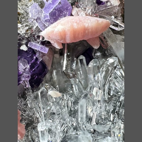 Rhodochrosite, Apatite, Quartz and Purple Fluorite 6.0 cm — detail view